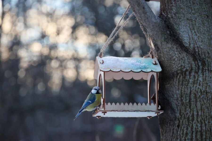 Погода в Москве в понедельник, 2 марта: ждать ли оттепели и сильных дождей