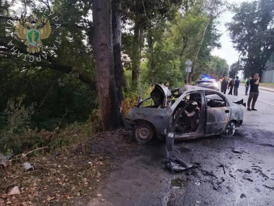 В Зеленодольске иномарка врезалась в дерево - шесть человек погибли