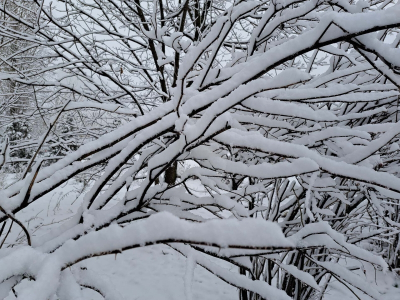 В Челябинской области снова метели и гололед