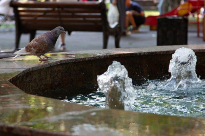 Купальный сезон в Москве завершен из-за похолодания воды