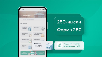 Все по полочкам: что такое налоговая отчетность ФНО 250 и почему важно ее сдавать