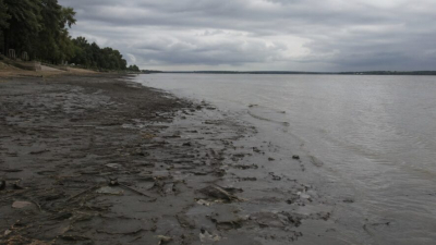 Пьяный водитель катера изрезал винтом купавшуюся в Волге девочку 02/08/2026 &ndash; Новости