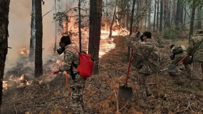 Лесной пожар в Абайской области: был ли поджог