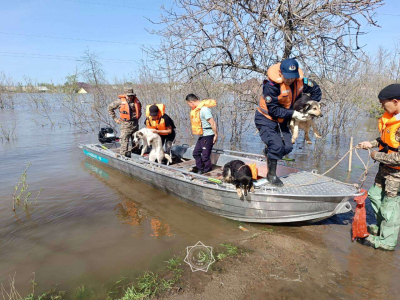 Паводки в Казахстане: в эвакопунктах остаются 6 726 человек