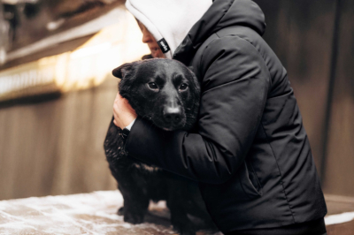 Команда 1win Charity выделила 8 млн рублей на создание приюта для собак