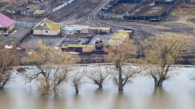 Какая помощь доступна гражданам, пострадавшим от паводков, рассказали в правительстве