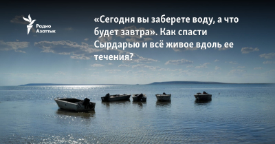 «Сегодня вы заберёте воду, а что будет завтра». Как спасти Сырдарью и всё живое вдоль её течения?