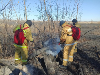 Около тысячи гектаров сгорело из-за возгорания тростника на побережье Каспийского моря