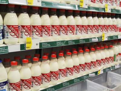 Цены падают, кадры уходят: нижегородские производители молока бьют тревогу