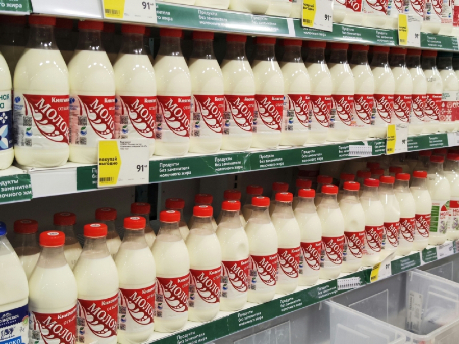 Цены падают, кадры уходят: нижегородские производители молока бьют тревогу