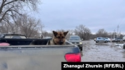 В Шетском районе Карагандинской области объявили режим ЧС: большая вода накрыла навесной мост, жителей сёл эвакуируют