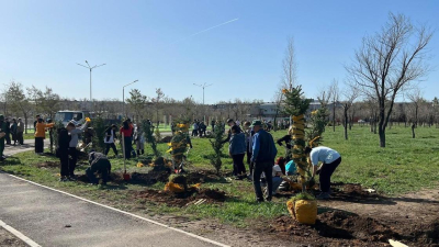 Более 90 тысяч саженцев посадят в городах и районах Карагандинской области