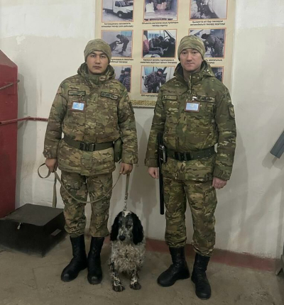 Детектив оправдал доверие