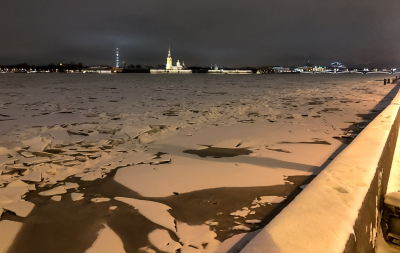 В Ленобласти спасли первого в 2026 году нерпенка весом 3,6 килограмма