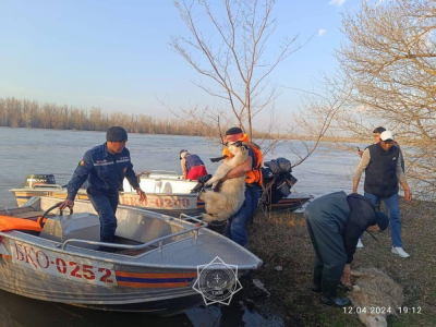 В Атырау пик паводков ожидается в начале мая  Дополнено