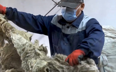 Овечью шерсть будут перерабатывать в Актобе