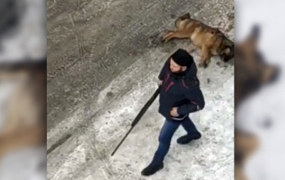 Молодые парни расстреливали собак и снимали расправу на видео