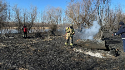 1000 гектаров тростника охвачена пламенем на побережье Каспийского моря