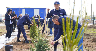 Сотрудники МЧС во главе с министром посадили 30 саженцев елей