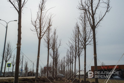 Сегодня в Татарстане ожидается до +8 градусов