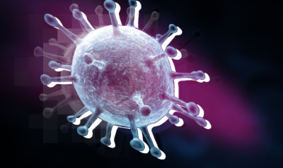 Биолог Чумаков: лихорадка чикунгунья начинается с резкого подъема температуры