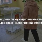 Партии поделили муниципальные мандаты после выборов в Челябинской области