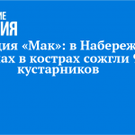 Операция «Мак»: в Набережных Челнах в кострах сожгли 90 кустарников