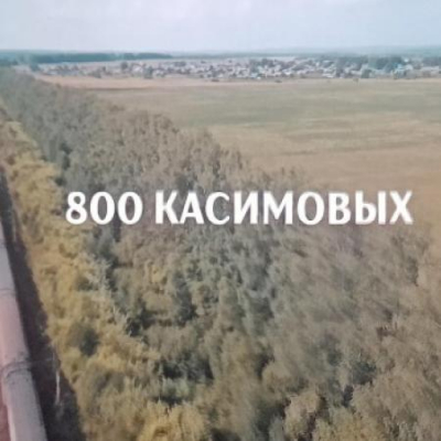 в кинотеатре «Мир» состоялся премьерный показ документального фильма «800 Касимовых»