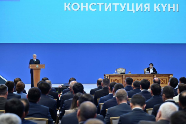 90% депутатов маслихатов всех уровней избраны по одномандатным округам
