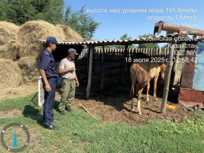 Нарушил правила выпаса скота? Будет штраф